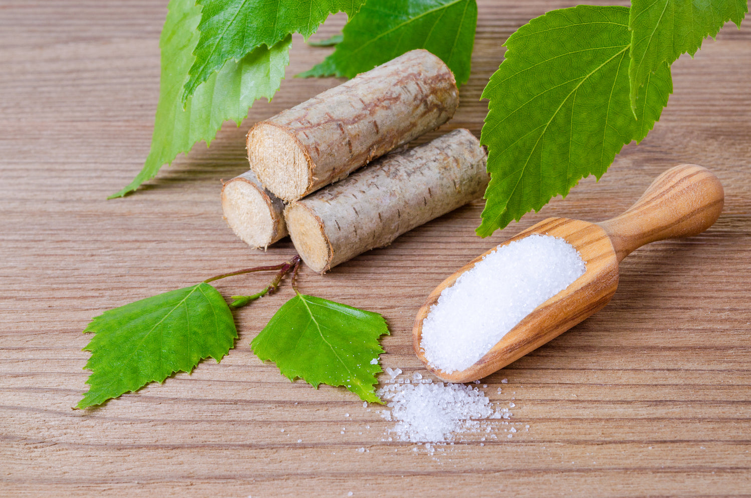 Sustainability: Birch vs. Corn Xylitol